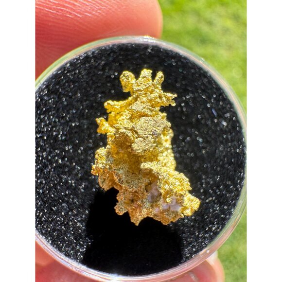 California Gold Crystal - 1.74 grams - Picture 3 of 11